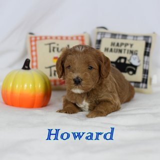 Howard