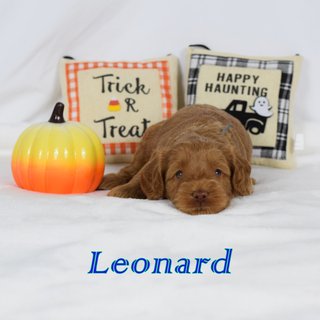 Leonard